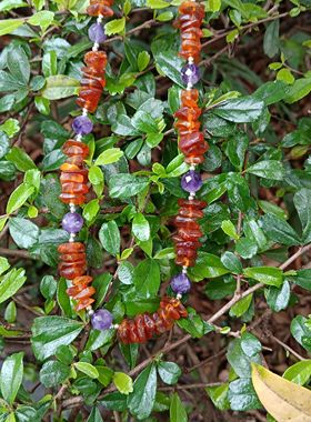 天然琥珀蜜蜡钻切紫水晶项链锁骨链送闺蜜女友礼物