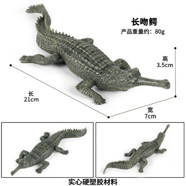 硬塑料长吻鳄短吻鳄仿真模型中国扬子鳄凯门鳄儿童过家家鳄鱼玩具 - 图0