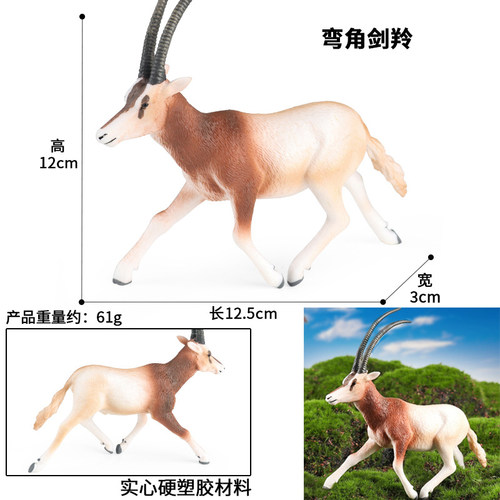 中国藏羚羊仿真模型叉角羚弯角剑羚瞪羚角马儿童认知玩具科普摆件 - 图1