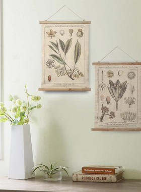 复古做旧挂画草本植物花卉外贸 现代简约客厅卧室卷轴挂帆布画