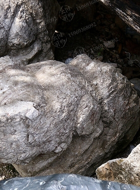 石头狮子 镇宅石狮 庭院花园阳台家用 青石 看门 桌面风化老 别墅