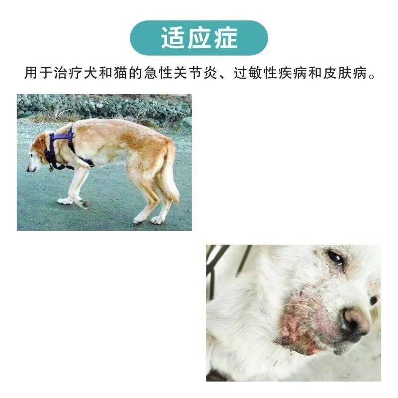 狗狗犬猫皮肤病肤炎宁皮肤病过敏性疾病兽用宠物用曲安奈德注射液,淘宝优惠券,粉丝福利购,淘宝优惠卷