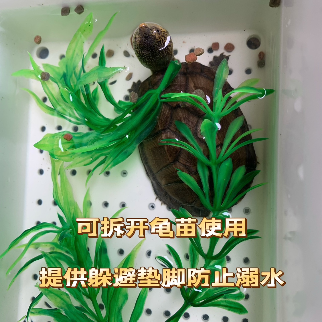 乌龟躲避水草仿真水草鱼缸龟缸造景装饰龟苗防溺水防咬伤假草植物 - 图1