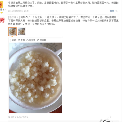 西藏雪莲菌种藏灵菇菌天山雪莲菌开菲尔酸奶菌发酵菌kefir食用菌 - 图2