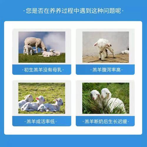 速溶奶粉乳猪仔猪兽用小猪用犊牛代乳粉小羊羔羔羊益生菌专用奶粉 - 图2