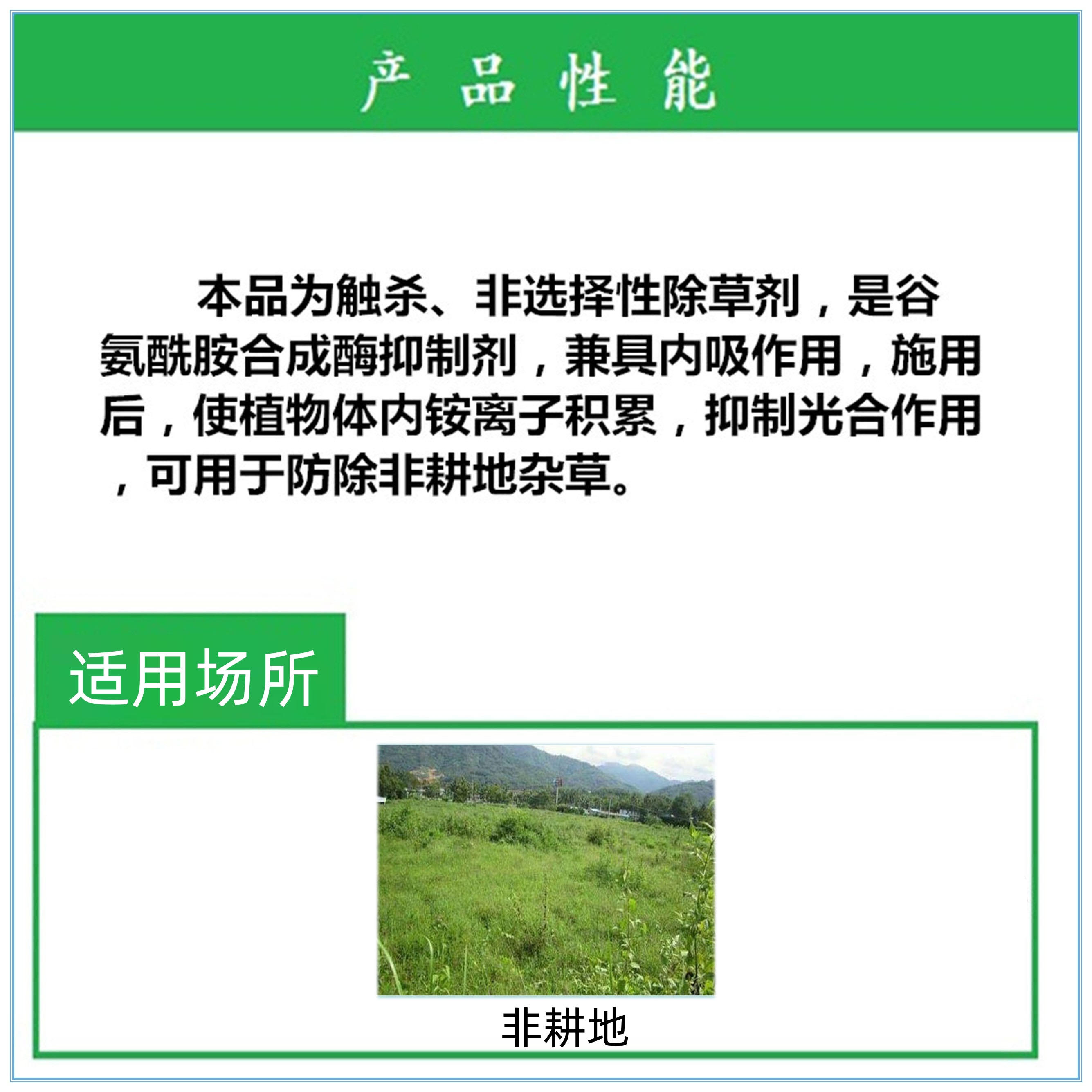 200克/升草铵磷草铵膦草胺磷杀除草剂正品果园非耕地杂草农药包邮 - 图1