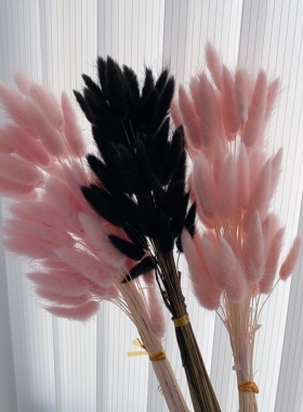 兔尾草永生花干花花束ins真花