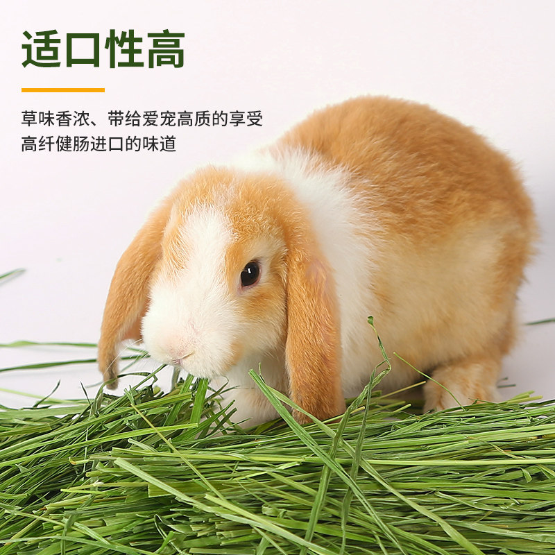 新草烘干提摩西草草段饲料食物兔子荷兰猪龙猫豚鼠草料兔干草牧草