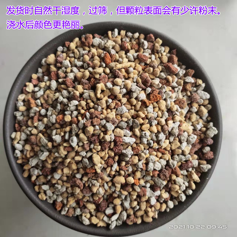 兰花护茎土兰草填充芦头鳞茎保护新芽护心土铺盖盆面颗粒石包邮