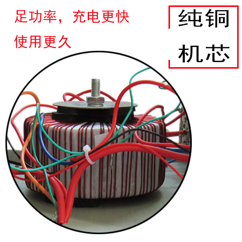 纯铜汽车摩托车货车蓄电池电瓶充电机大功率充电器6v12v24v通用型 - 图2