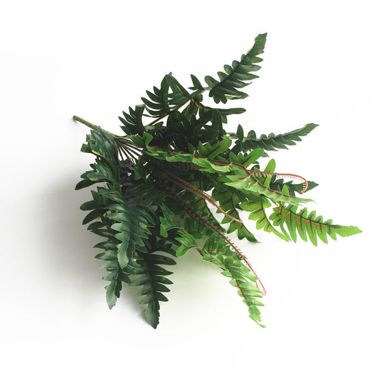 Green plant potted wedding partition flower arrangement fern Persian grass