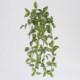 Simulated plant green plant wall hanging floral eye eyebrow leaf wall hanging