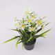 Artificial flowers, artificial flowers, potted orchids, living room table decorations