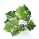 Flower arrangement partition potted plant with 9 green radish leaves plant wall
