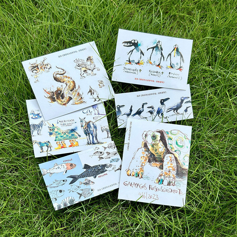 跟菲利大叔学手绘：动物速写 专注分享动物速写创作技巧艺术理念动物速写插画灵感来源 插画自学教学,淘宝优惠券,粉丝福利购,淘宝优惠卷