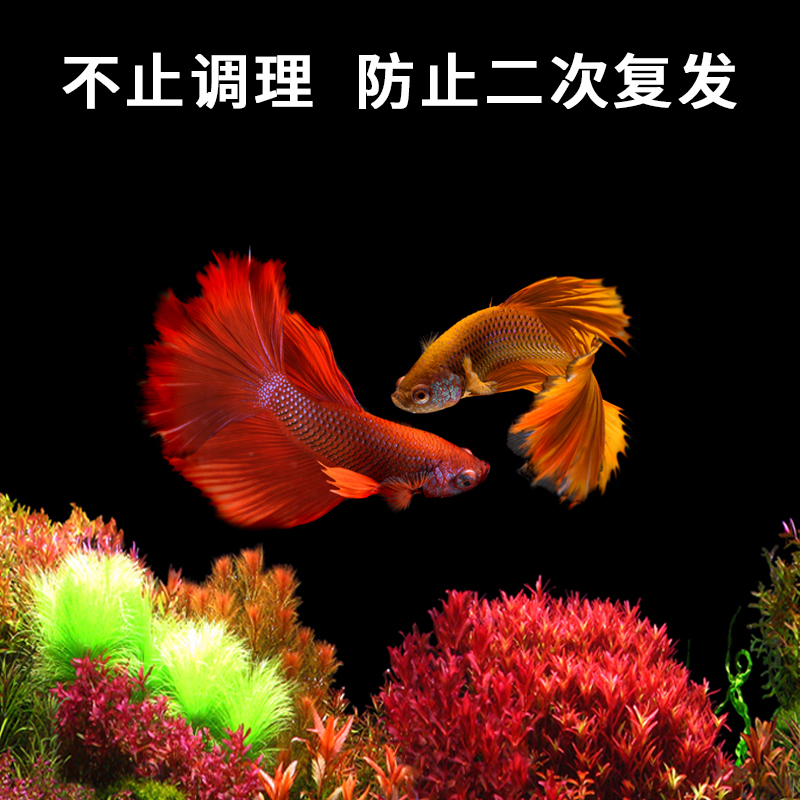 亚甲基蓝水族鱼药白点净水霉鱼缸杀菌消毒烂身烂尾烂鳍非观赏鱼药 - 图1