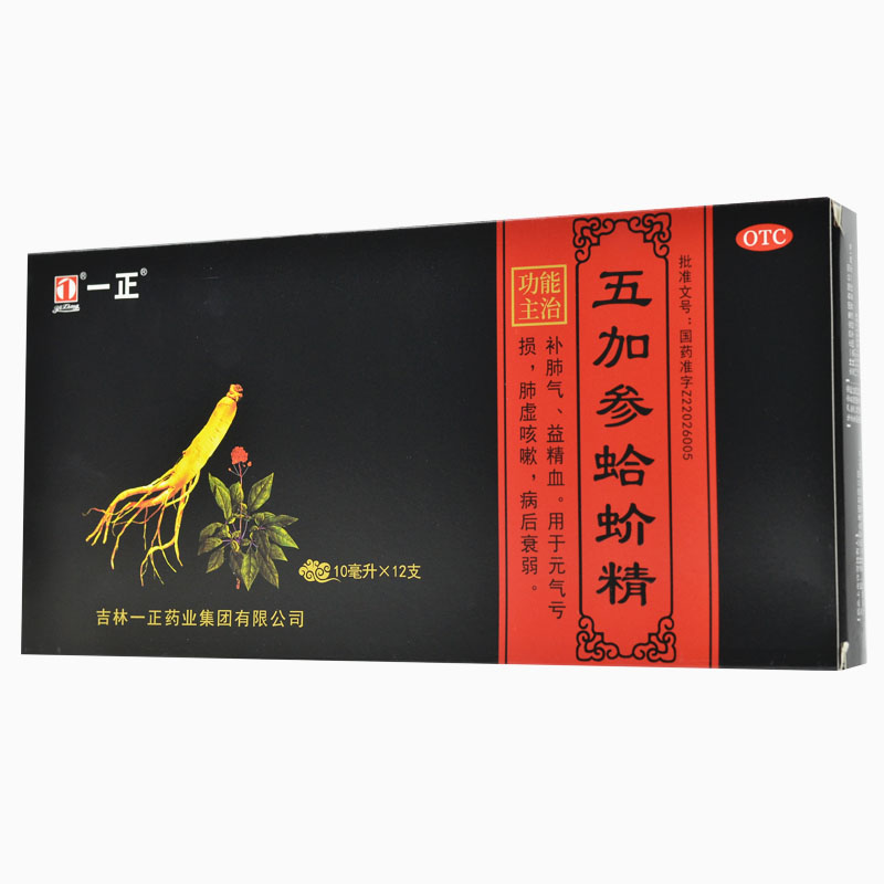 一正 五加参蛤蚧精 10ml*12支 补肺气 益精血 肺虚咳喘 - 图0