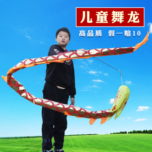舞龙彩带健身甩甩龙表演道具儿童广场彩带舞手耍龙初学杆甩空竹龙 - 图0