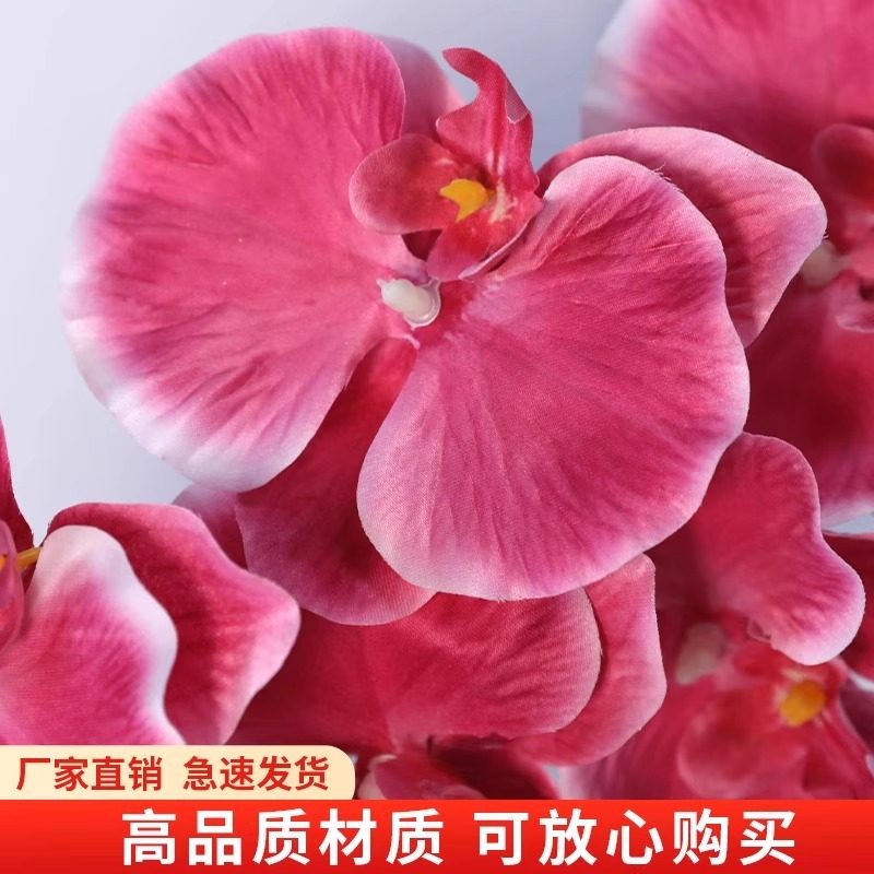 10支装蝴蝶兰仿真花高级感逼真白色婚庆绢花婚礼布置装饰假花摆件,淘宝优惠券,粉丝福利购,淘宝优惠卷