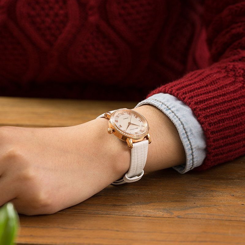 Seagull海鸥手表女士自动机械表镶钻贝母盘719.387大师系列 Seagull海鸥手表女士自动机械表镶钻贝母盘719.387大师系列