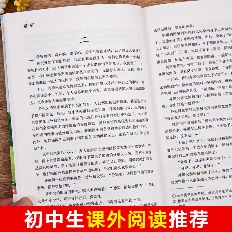 全3册高尔基三部曲正版原著童年我的大学在人间六年级课外书初中生阅读世界文学名著课外阅读阅读青少年小说书籍畅销书排行榜 - 图0