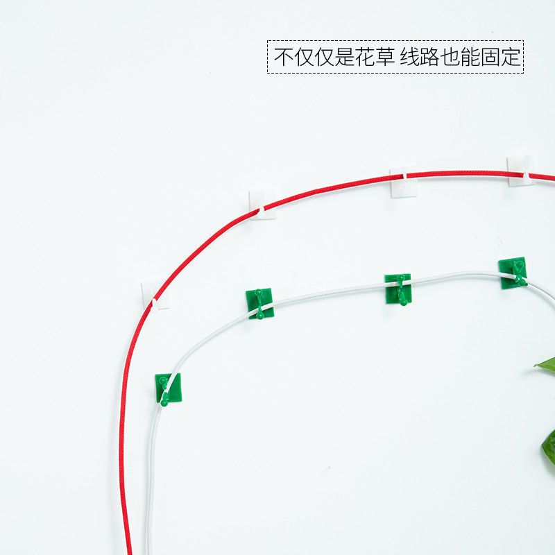 绿萝爬墙神器固定器绿植攀爬夹子无痕卡不伤墙上挂钩强力粘爬藤杆 - 图3