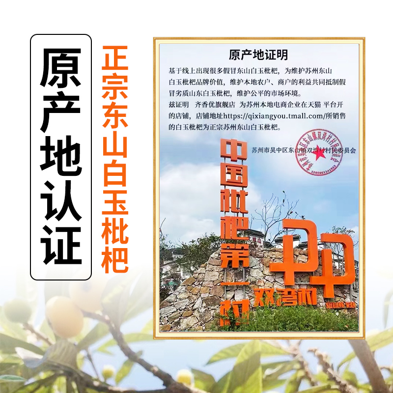 大果超甜2024年苏州东山白玉枇杷白沙琵琶新鲜现摘时令水果5斤装 - 图1