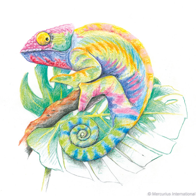 华德福社区店德国进口史都曼stockmar彩铅三角六角彩色绘画彩铅笔