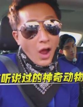 墨镜彩色太阳眼镜