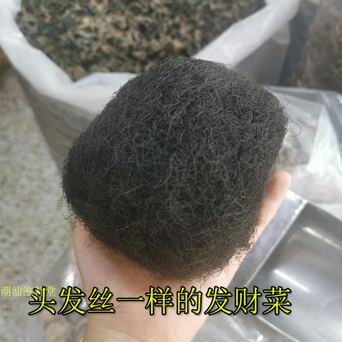 发菜干货土特产免洗发财菜汤龙须菜海发菜正宗头发菜100g顺丰包邮-图1