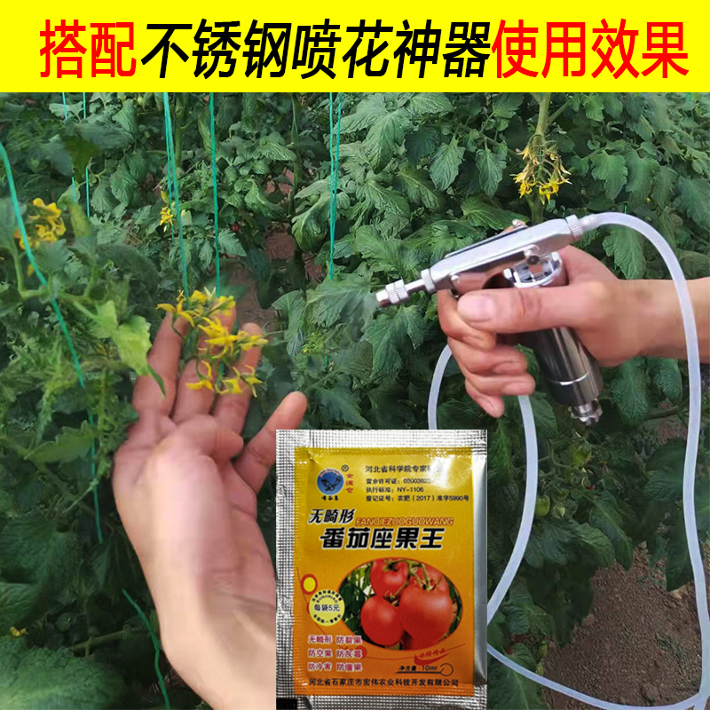 西红柿点花药坐果灵番茄授粉神器番茄点花药西红柿授粉药 - 图0