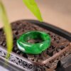 0294199-0 Natural Myanmar A goods full product waxy ice full color sunny green spicy green jade saddle ring ring 17