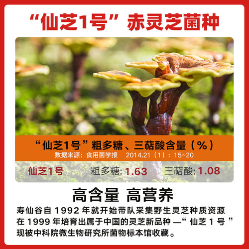 养生入门款】寿仙谷康寿汉堂破壁灵芝孢子粉30包礼盒12.5g高三萜Q - 图3