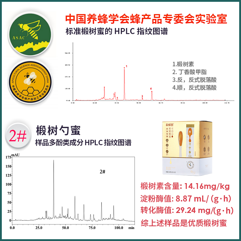 森蜂园椴树蜂蜜勺子装便携式蜂蜜冲饮蜂蜜小包装12g*20支勺蜜