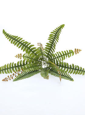 仿真绿植墙婚庆蕨类孔雀装饰花艺