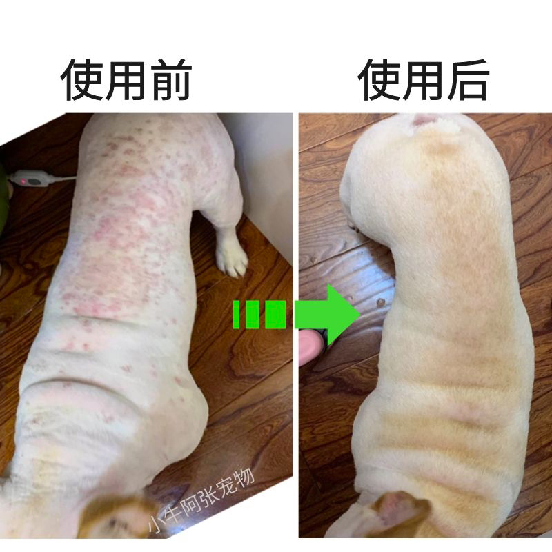 狗狗药浴狗皮肤病宠物猫藓药浴真菌脓皮症狗狗沐浴露杀螨除菌止痒 - 图1