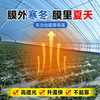 Greenhouse plastic film drip-free film sun protection high light transmittance PO film
