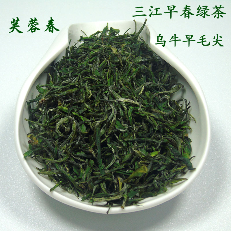 芙蓉春三江早春绿茶乌牛早毛尖广西柳州茶叶礼品茶三江特产200g茶 - 图2