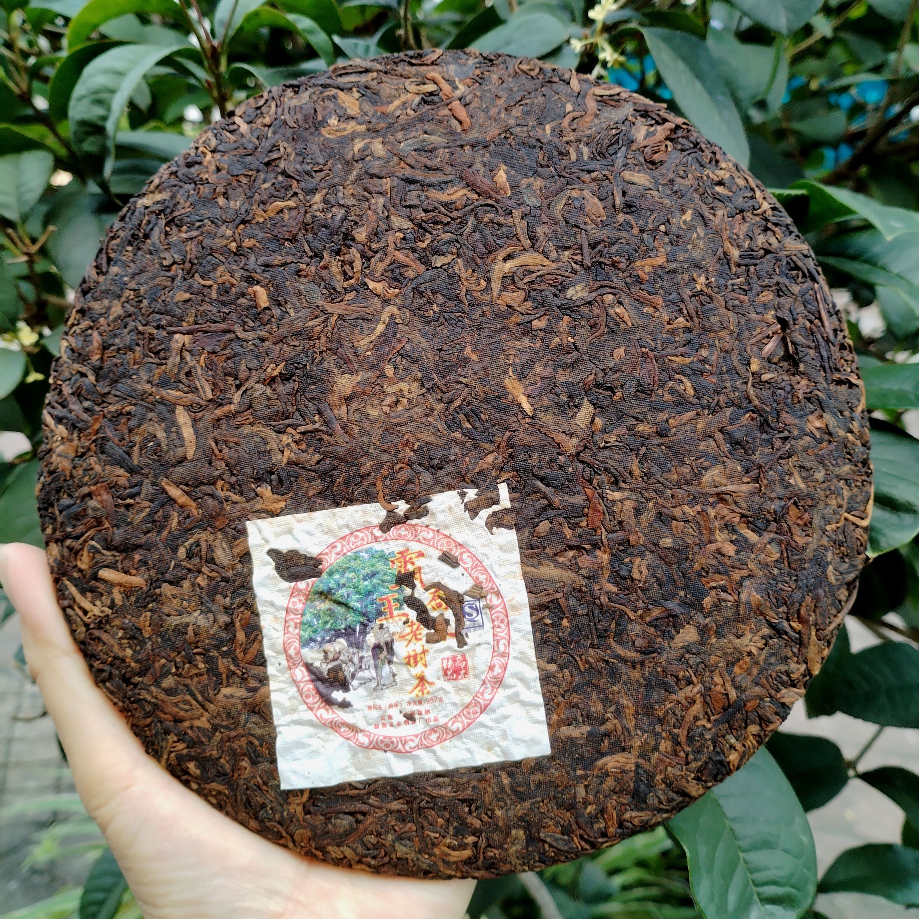 乔木霸王老树茶2014年勐海普洱茶熟茶357克/饼健利茶业