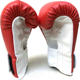 Xiangpai youth and children's boxing gloves