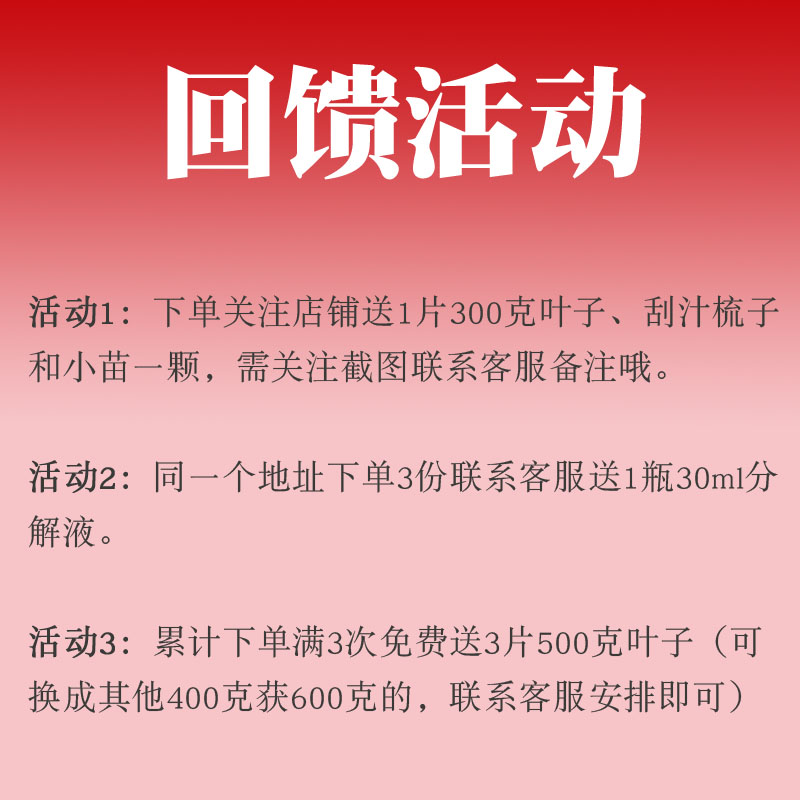 美国库拉索芦荟叶子新鲜大叶片芦荟美容奶芦荟灌肤食用吃包邮 - 图0