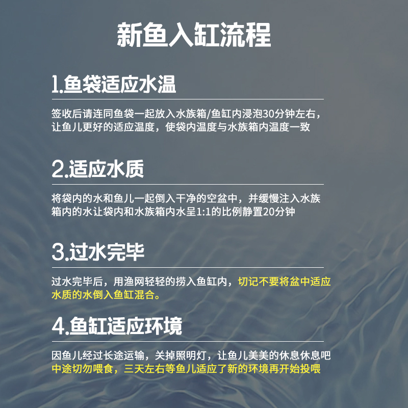 冷水鹦鹉鱼红草金鱼观赏鱼好养耐活发财招财鱼活体锦鲤冷水金鱼苗-图1