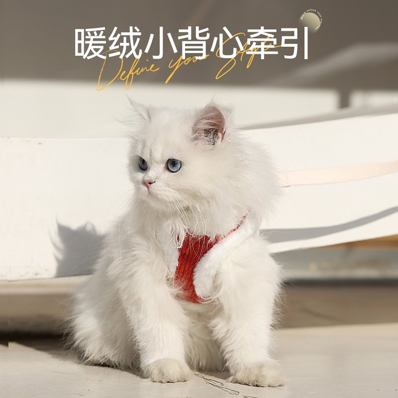  华元宠物用品猫牵引绳