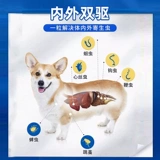 Супер доверенное тело собаки и вне тела и вне тела плюшевых домашних животных в теле и за пределами тела всех собак, используемых в теле