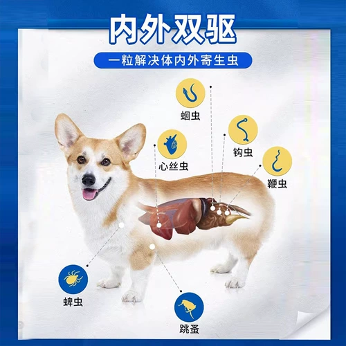 Супер доверенное тело собаки и вне тела и вне тела плюшевых домашних животных в теле и за пределами тела всех собак, используемых в теле