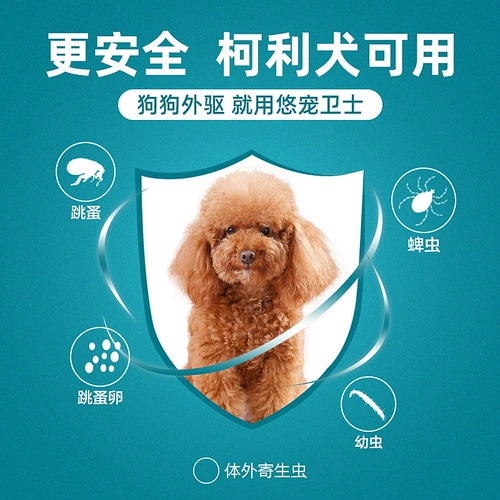 Собачья собака -дегрессивное тело за пределами тела блох ленточной червем используют внешние драйверы в организме, одни и те же ингредиенты не насосы