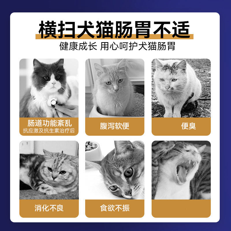 mag狗狗布拉迪酵母分装调理益生菌 华元宠物用品猫/狗保健品