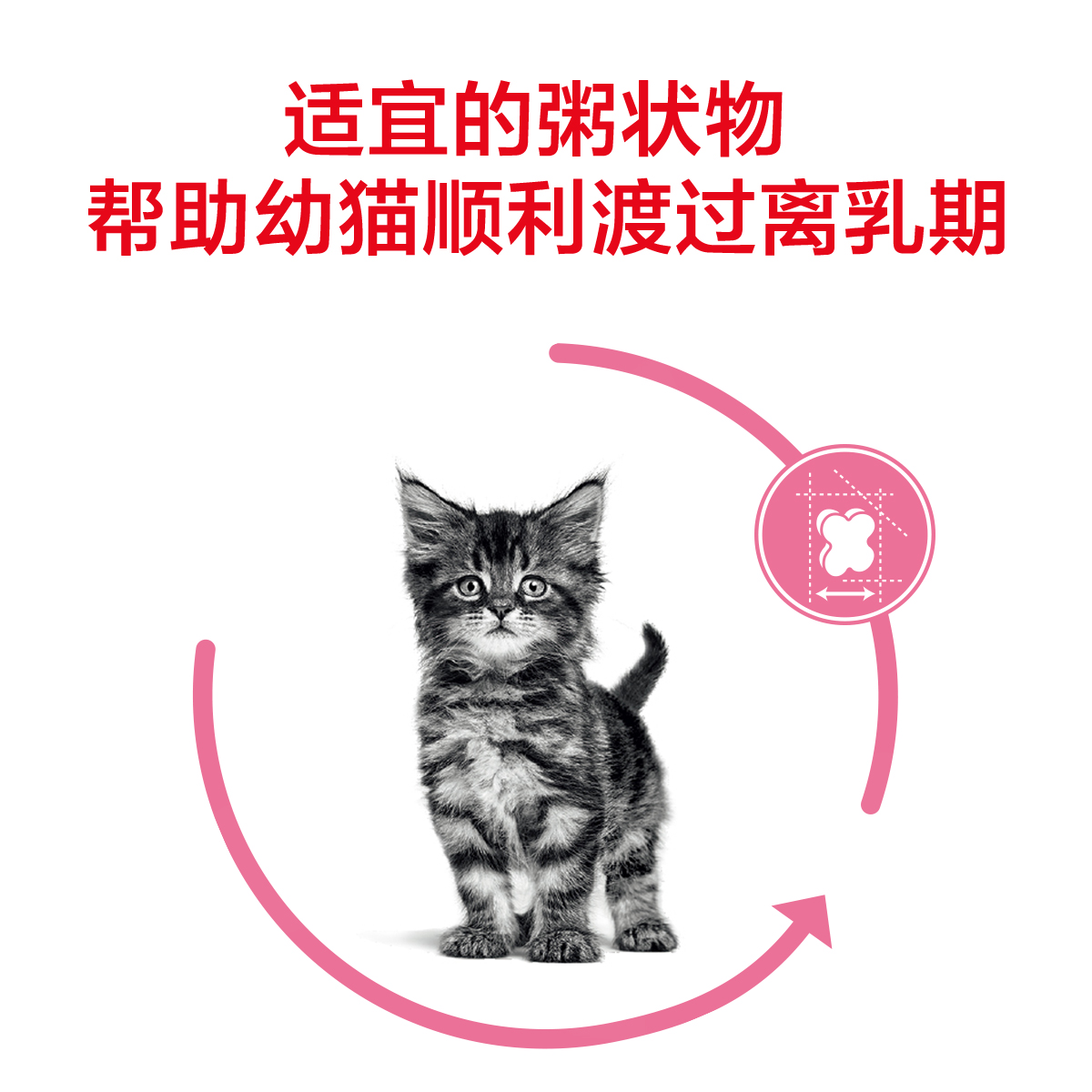 皇家bk34猫粮1-4个月幼猫奶糕400g怀孕离乳期加菲F32小猫咪主粮-图2