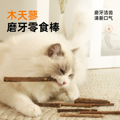 猫玩具磨牙棒木天蓼猫薄荷球逗猫棒耐咬猫咪幼猫自嗨解闷猫猫用品