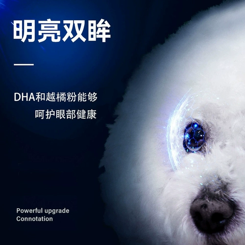 Bernardian Pure маленькая собака универсальные собаки щенки 10 кг корм для собак 20 кот из корма для собаки плюшевого медведя Корки